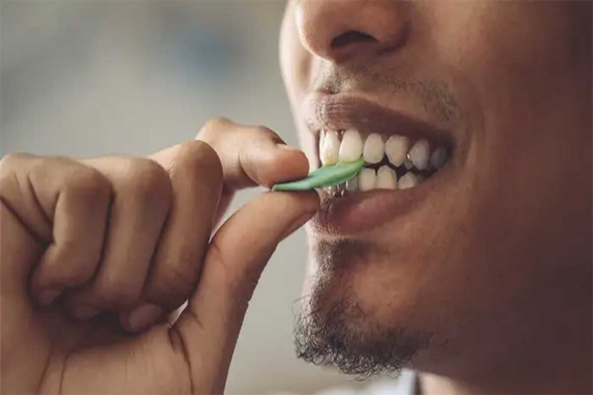 آدامس بدون شکر تریدنت max با طعم نعنا